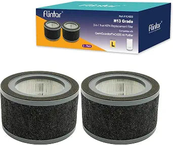 FLT4200 Replacement L Filter, Compatible with GermGuardian Air Purifier Models AC4200, AC4200W and AC4250B, Filter Size L, 2-Pack