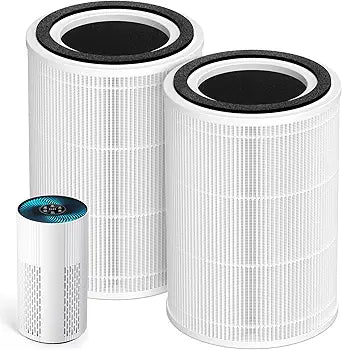 2 Pack HAP604 Replacement Filters For ECOSELF HAP604 Air Purifier True HEPA