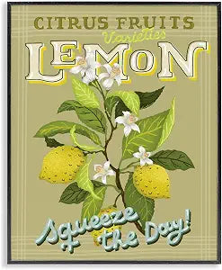 Vintage Citrus Lemon Squeeze the Day, 16 x 20 Inch Framed Gicle Print