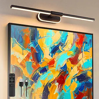 24" Picture Light for Wall, Wall Mounted Art Light with Remote