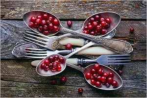 Trademark Fine Art 'Spoonsa Cranberry' Canvas Art by Aleksandrova Karina