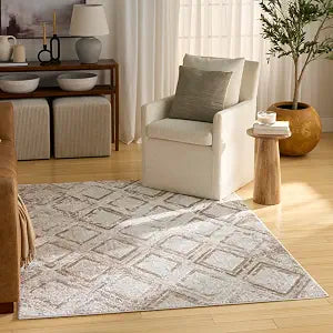 Nourison Home Dekor Ivory Taupe 4' x 6' Area Rug - Easy Clean, Non Shedding, Bed Room, Living Room, Dining Room, Kitchen (4' x 6')