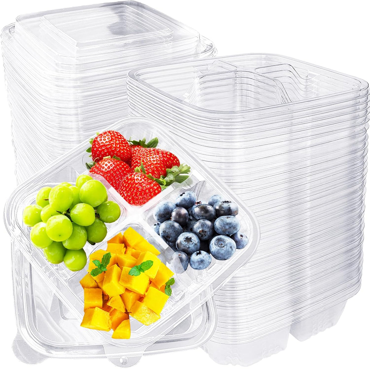 Alaeseje 40 Pcs Bento Snack Containers,4-Compartment Lunchable Container