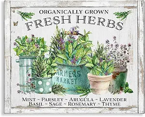 Organic Fresh Herbs Kitchen, 24 x 30 Inch Canvas Wall Art