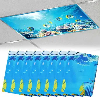 8Pcs 4'x2' Fluorescent Light Covers for Ceiling Lights Classroom Must Haves