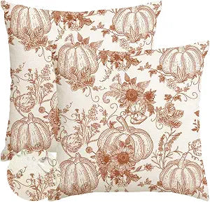 RABUSOFA Fall Pillow Covers 16x16 Inch Set of 2 Fall Decorations for Home