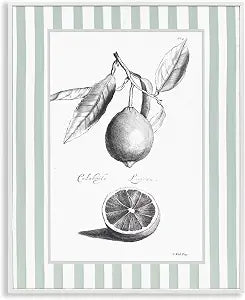 Vintage Citrus Striped Border, 16 x 20 Inch Framed Gicle Print