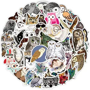 50 PCS Cartoon Owl Stickers Pack for Adults Teens, Cute Kawaii Vinyl Waterproof Decal Stickers for Water Bottles Bicycle Laptop Luggage Computer Mobile Phone Skateboard Bike