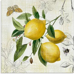 Vintage Lemon Blossoms Kitchen, 24 x 24 Inch Canvas Wall Art