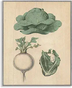 Vintage Garden Vegetables Kitchen, 16 x 20 Inch Framed Gicle Print