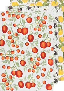 Now Designs Mediterranean Cotton Floursack Kitchen Dish Towels 20 x 30in, Set of 3