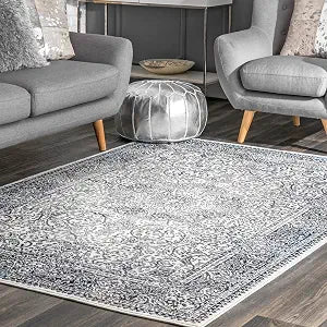nuLOOM Transitional Oriental Style Delores Area Rug, 4x6, Blue