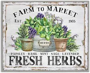 Farmhouse Fresh Herbs Kitchen, 11 x 14 Inch Framed Gicle Print
