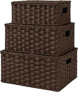 GRANNY SAYS Wicker Baskets with Lids, Decorative Storage Boxes with Lids