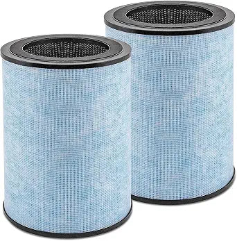 2 Pack Filter Replacement for Instant AP300, Compare to F300 Filter