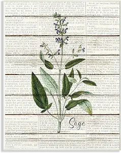 Sage Vintage Herb Kitchen, 10 x 15 Inch Mounted Print on Wall Plaque