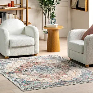 nuLOOM Diana Vintage 3x5 Accent Rug for Living Room Bedroom Dining Room Entryway Kitchen, Rust/Beige