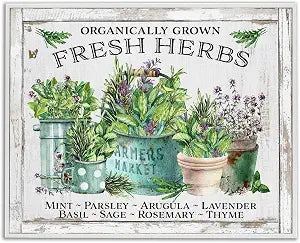 Organic Fresh Herbs Kitchen, 11 x 14 Inch Framed Gicle Print