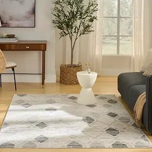 Nourison Home Serenity Home Beige Grey 3'11" x 5'11" Area Rug - Easy Clean, Non Shedding, Bed Room, Living Room, Dining Room, Kitchen (4' x 6')