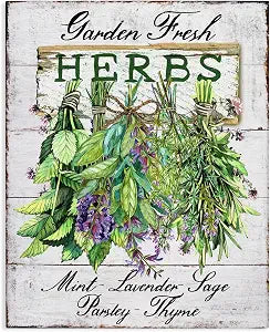 Stupell Industries Garden Fresh Herbs Kitchen, 16 x 20 Inch Canvas Wall Art