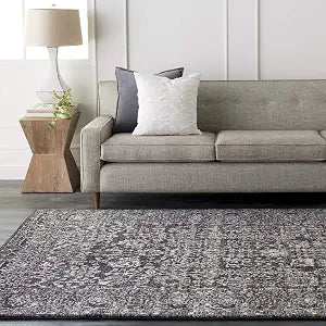 Gustavo Charcoal Updated Traditional Area Rug 2' x 3'