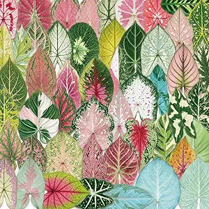 50PCS Plant Stickers,Clear Transparen Waterproof Vinyl for Laptop, Water Bottle, Journal, Scrapbook