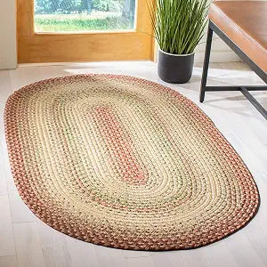 SAFAVIEH Braided Indoor/Outdoor Accent Rug 2'6"x5', Rust & Multi BRD303A