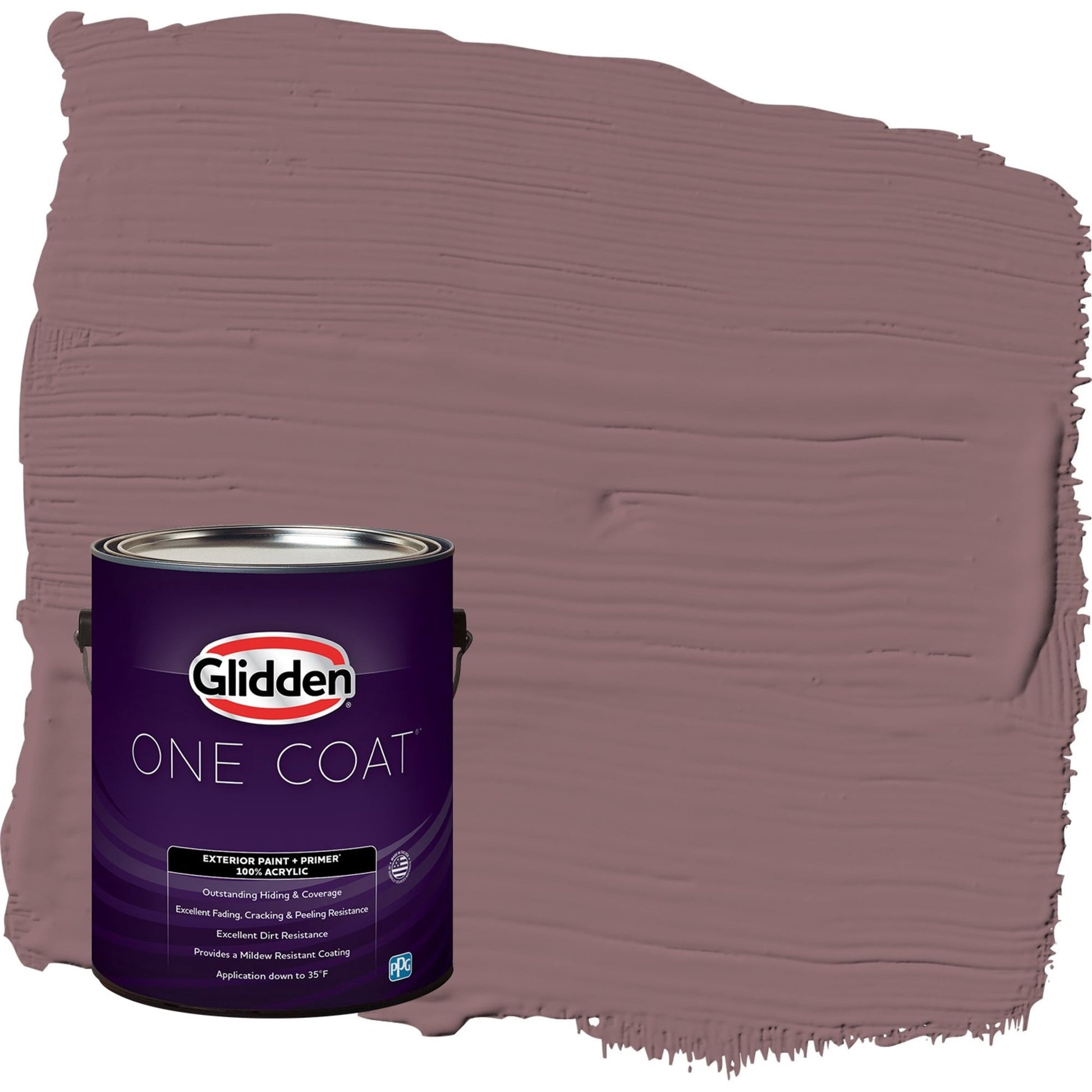 Glidden One Coat Chocolate Sparkle / Purple Semi-Gloss Exterior Paint with Primer, 1 Gallon