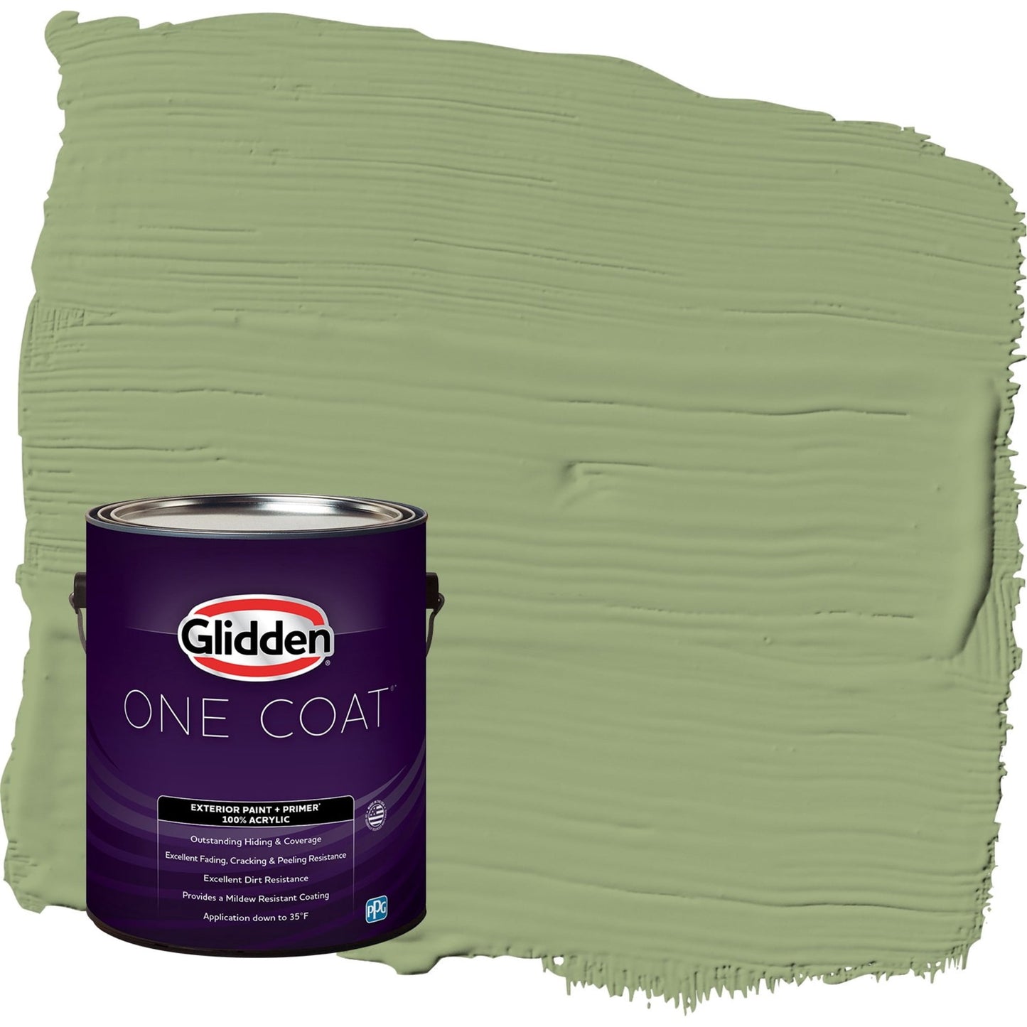 Glidden One Coat Guacamole / Green Satin Exterior Paint with Primer, 1 Gallon