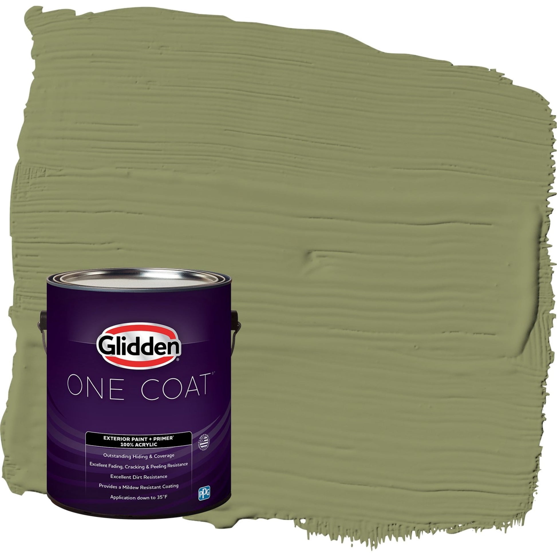 Glidden One Coat Paid in Full / Green Flat Exterior Paint with Primer, 1 Gallon