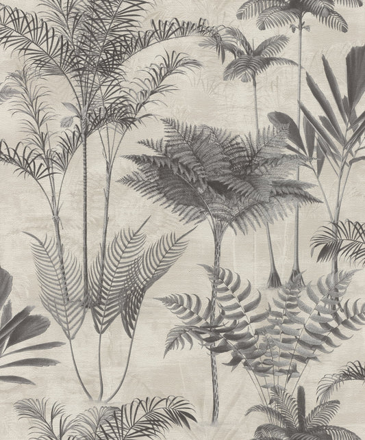 Rasch Kinabalu Charcoal Rainforest Wallpaper