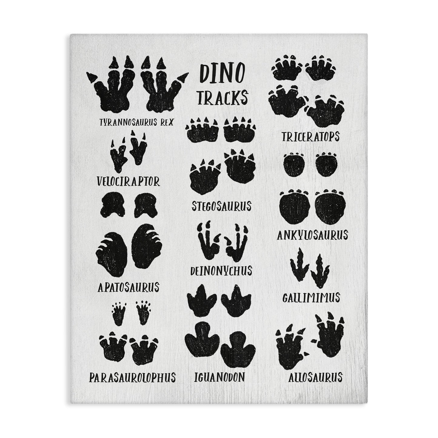 Stupell Industries Children's Rustic Dinosaur Track Chart with Text Canvas Wall Art Design by Daphne Polselli, 16" x 20"