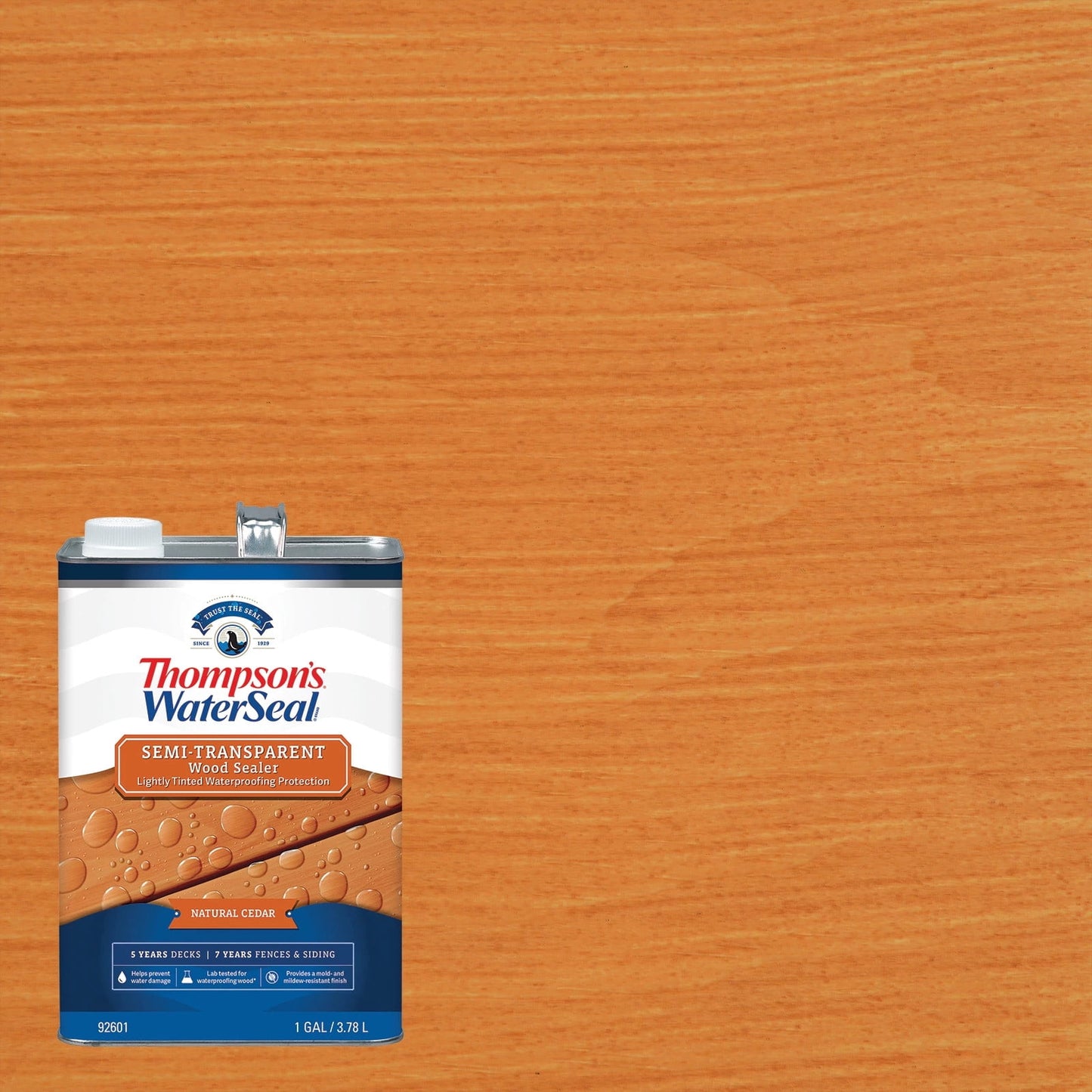 Thompson's WaterSeal Semi-Transparent Wood Sealer, Natural Cedar, 1 Gallon