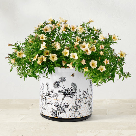 Honeycomb Ceramic Planter Collection,Medium,