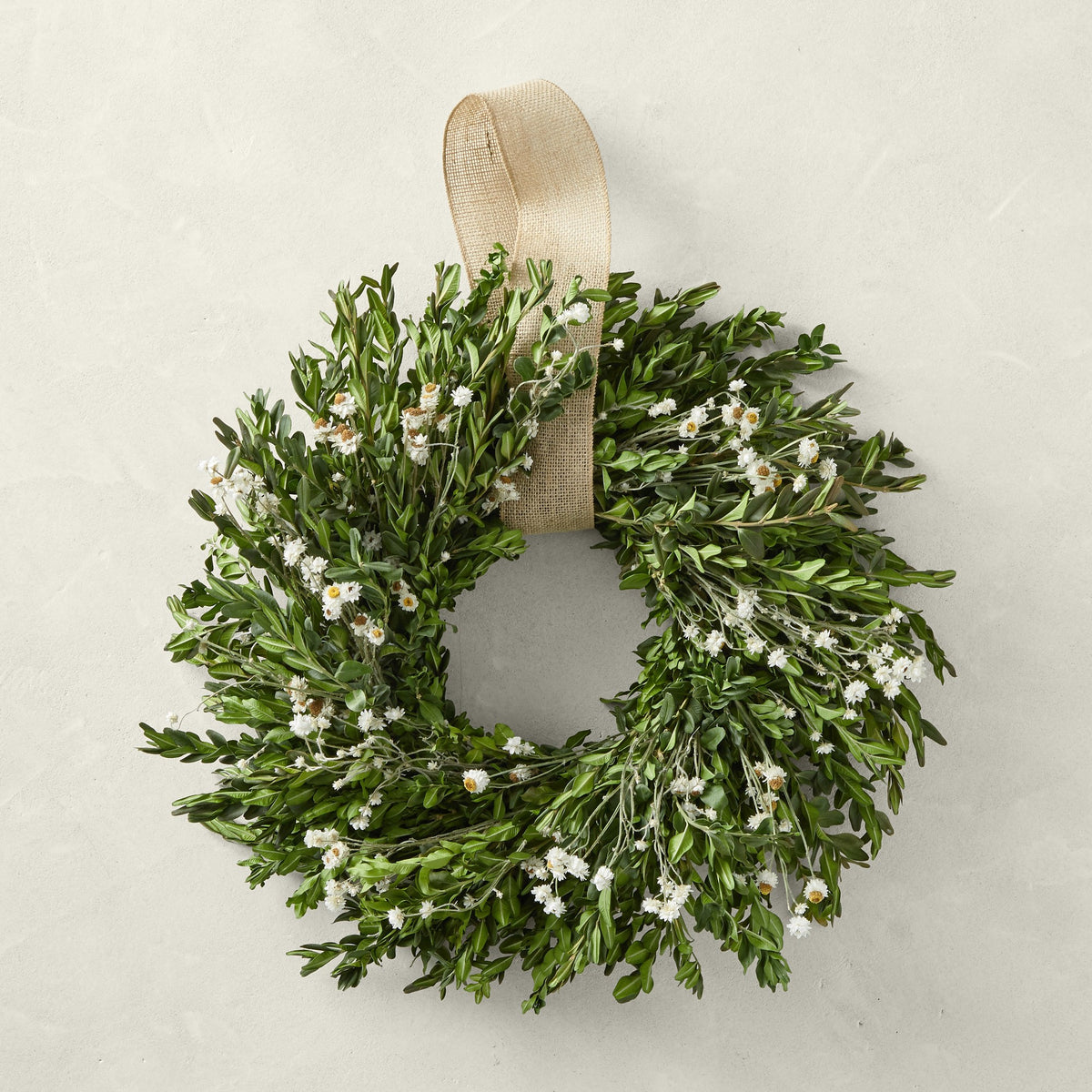Field of Daisies Live Wreath, 20",WSNOADS,Wreaths & Garlands