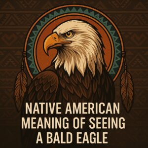 Native American Meaning of Seeing a Bald Eagle